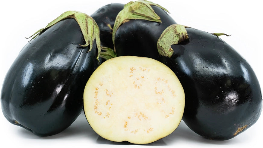 American Eggplant