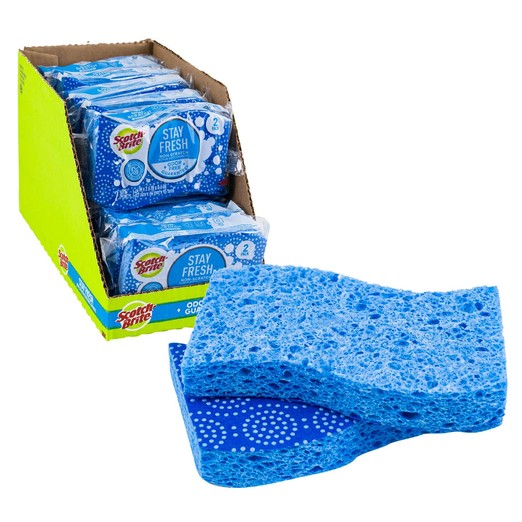 SCOTCH-BRINE STAY FRESH SCRUB DOTS SPONGES 2 PCS
