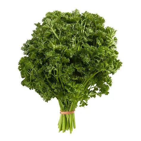 Curly Parsley