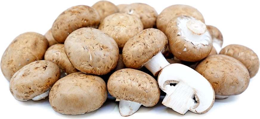 Cremini Mushroom