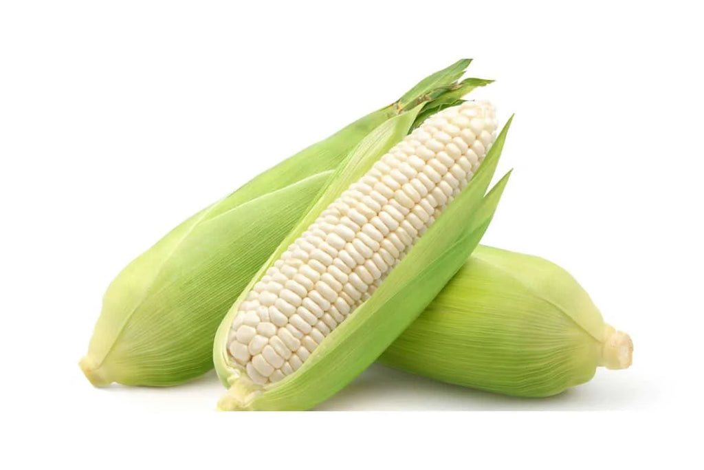White Corn
