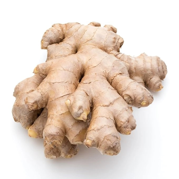 Ginger