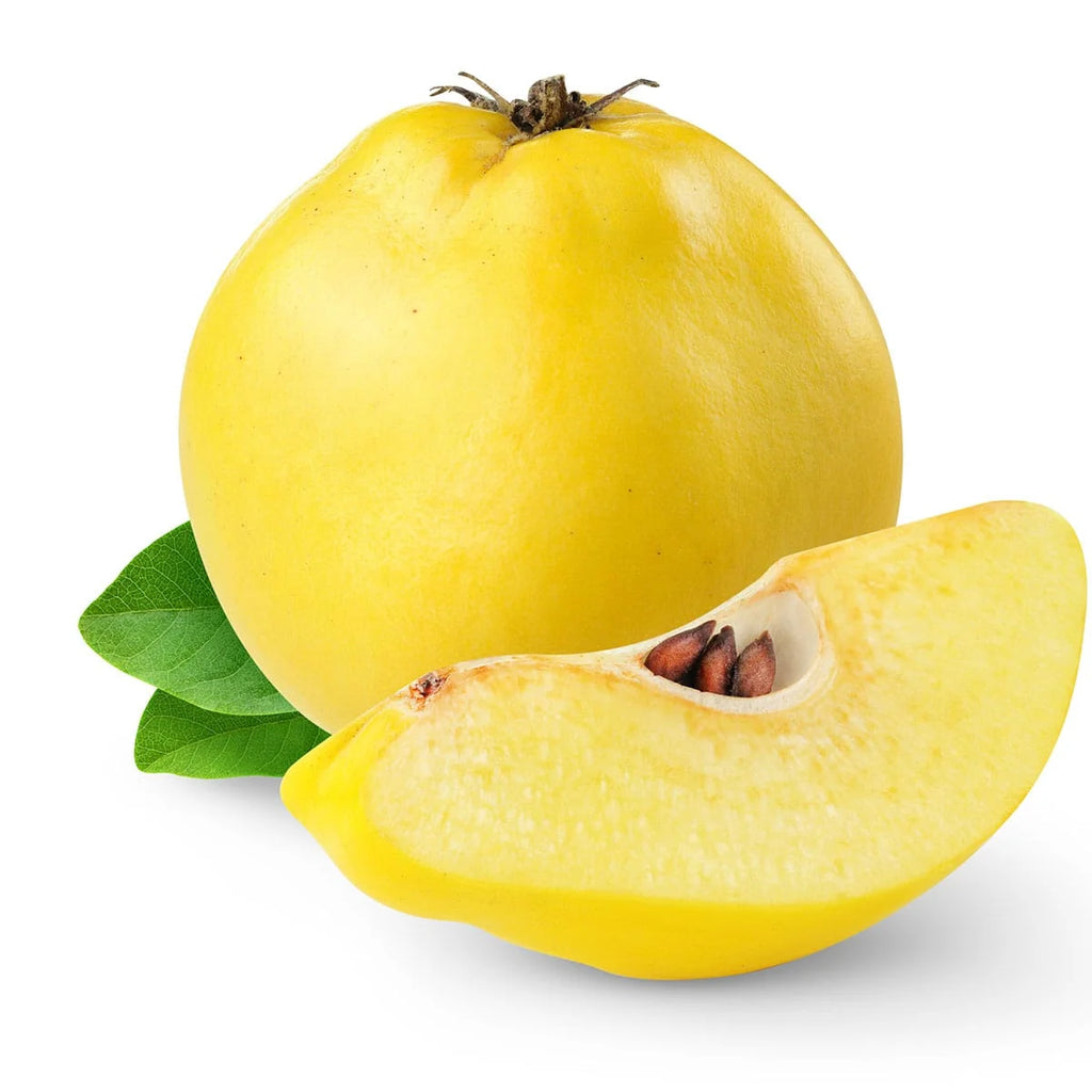 Quince 24 ct