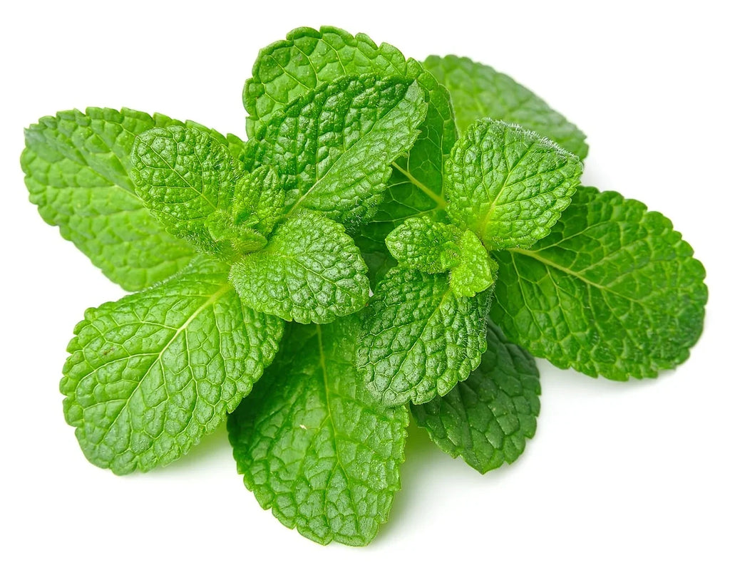 Mint (Box)