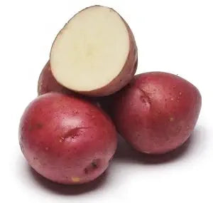 Red B Potato