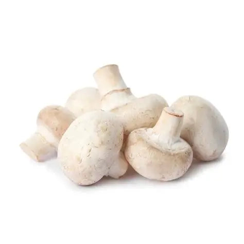 Mushroom Loose