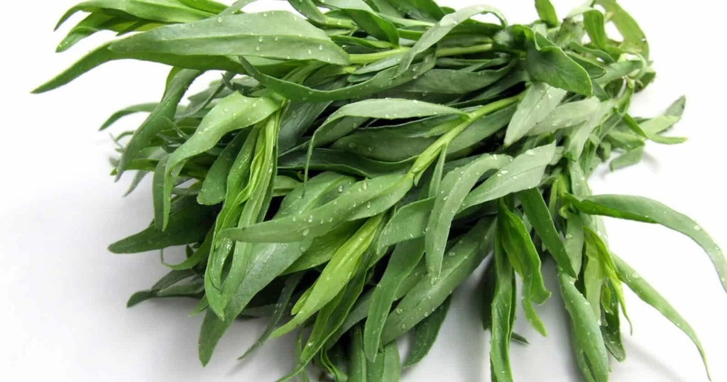 Tarragon (Bag)