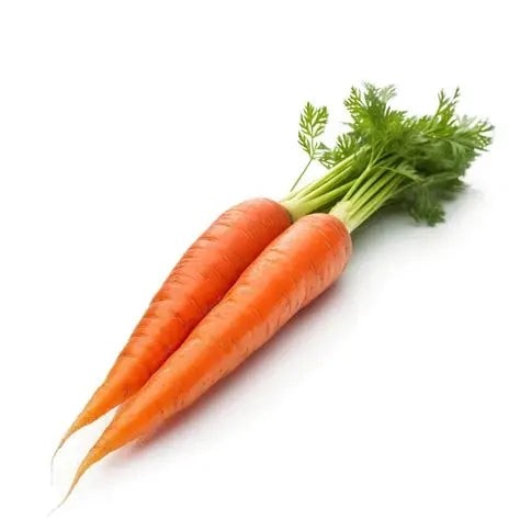 Carrot Jr./Juice