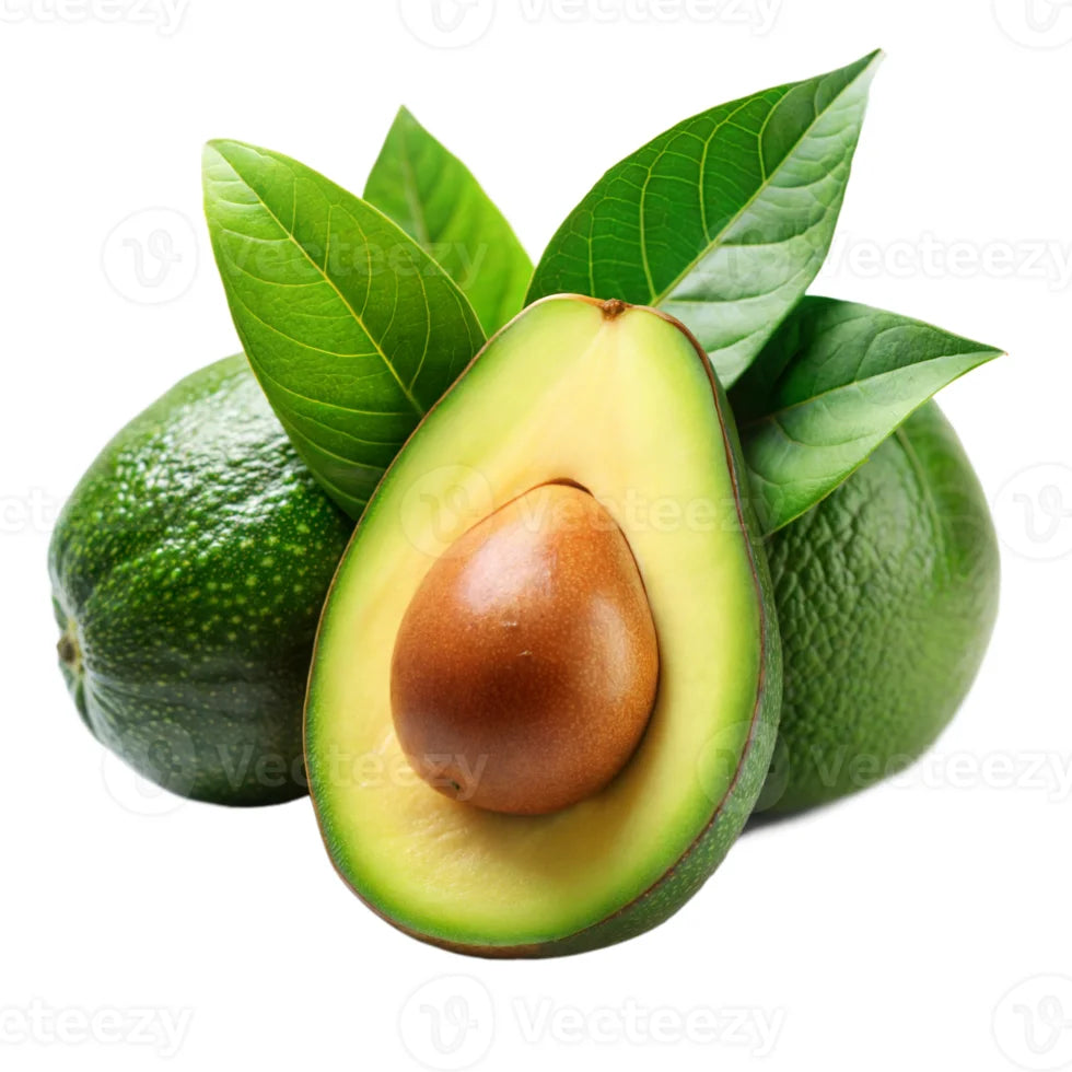 Avocado