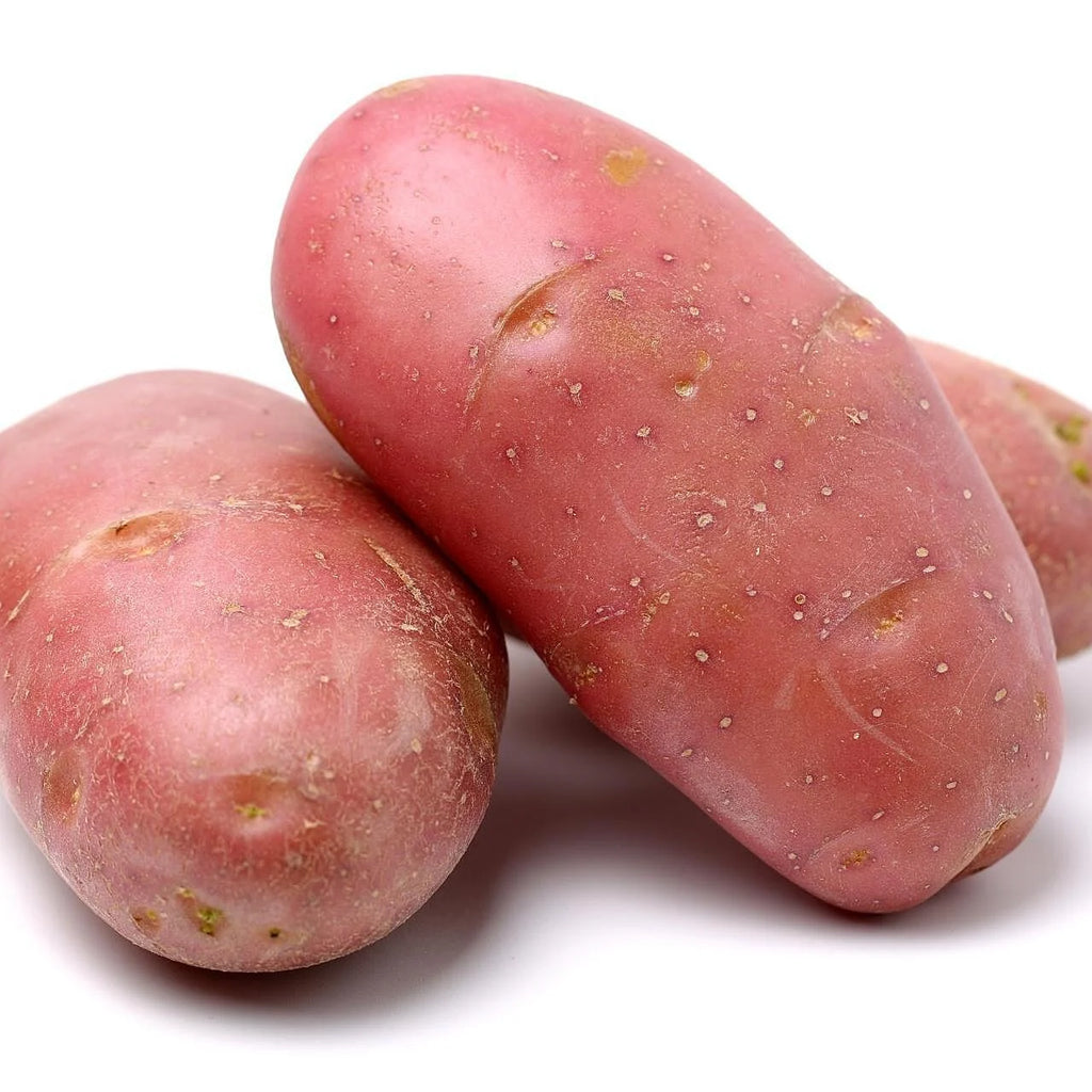 Red A Potato