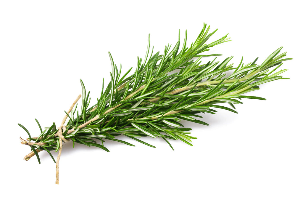 Rosemary (Bag)