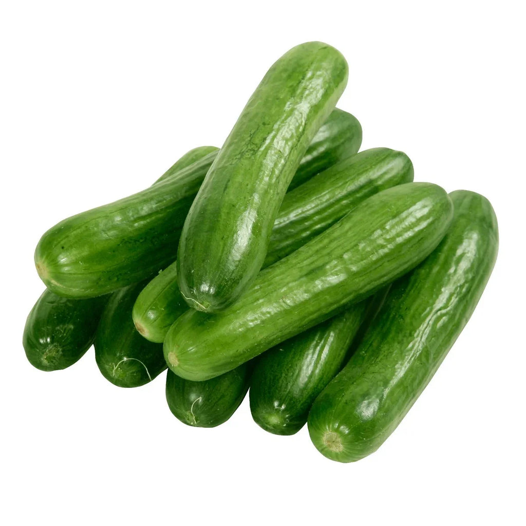 Persian Cucumber