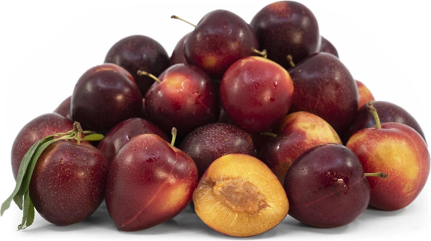 Cherry Plum