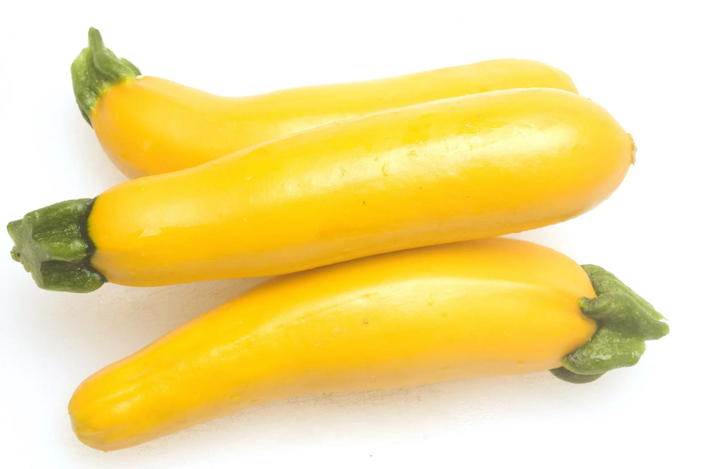 Squash Yellow