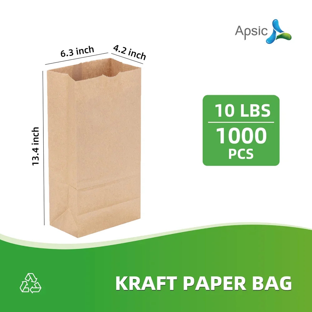 10 LBS KRAFT PAPER BAG 6.3"*4.2"*13.4"
