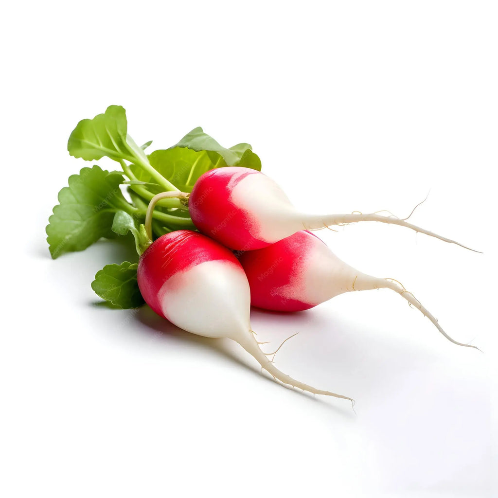 Radish - Ice Bunch