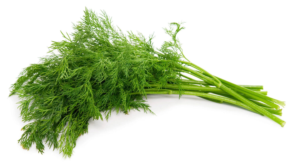 Dill (Box)