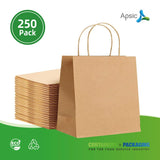 13" * 6" * 16" #12 KRAFT PAPER BAG WITH TWIST HANDLE