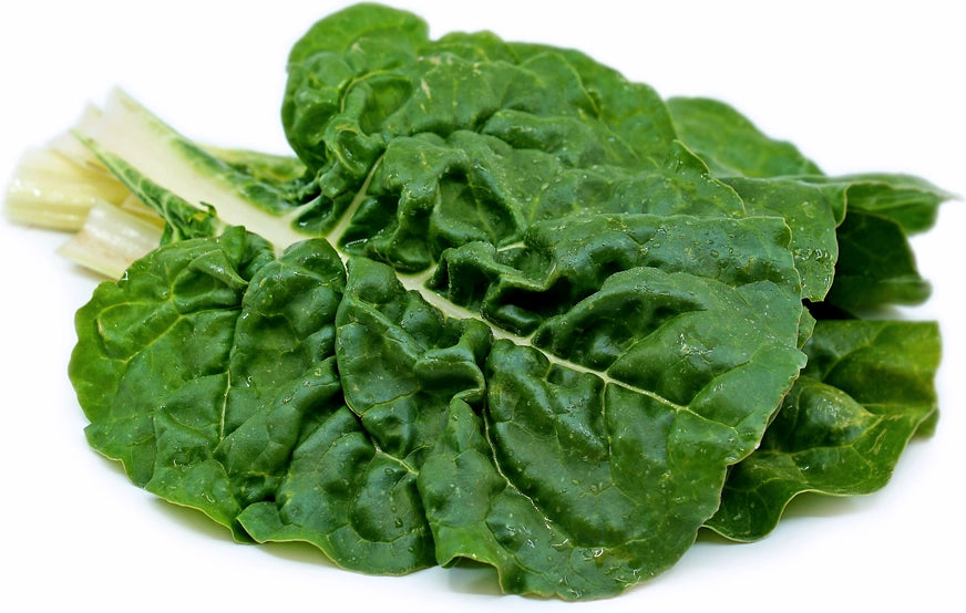 Green Chard