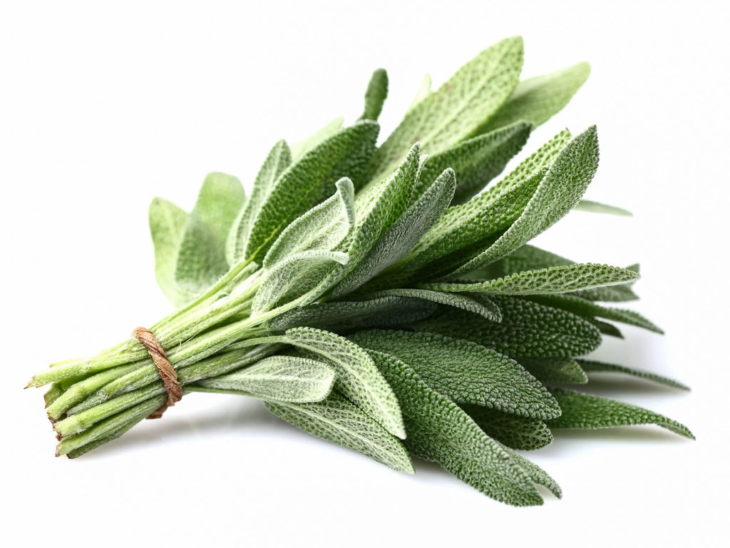 Sage (Bag)