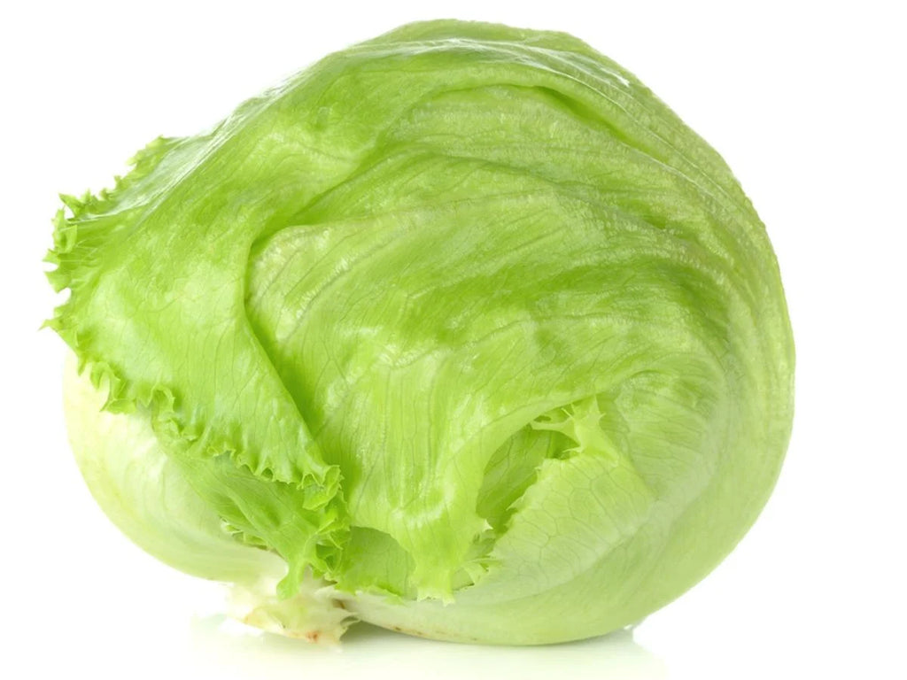 Iceberg Lettuce