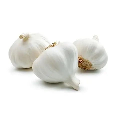 Garlic White Super
