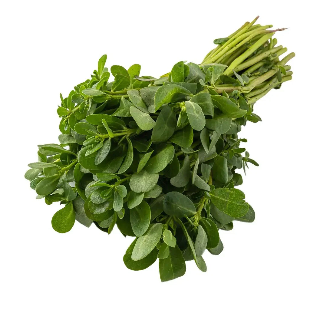 verdolagas
