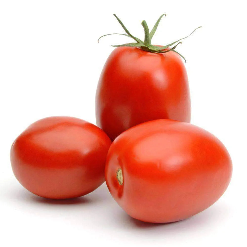 Tomato Roma Large