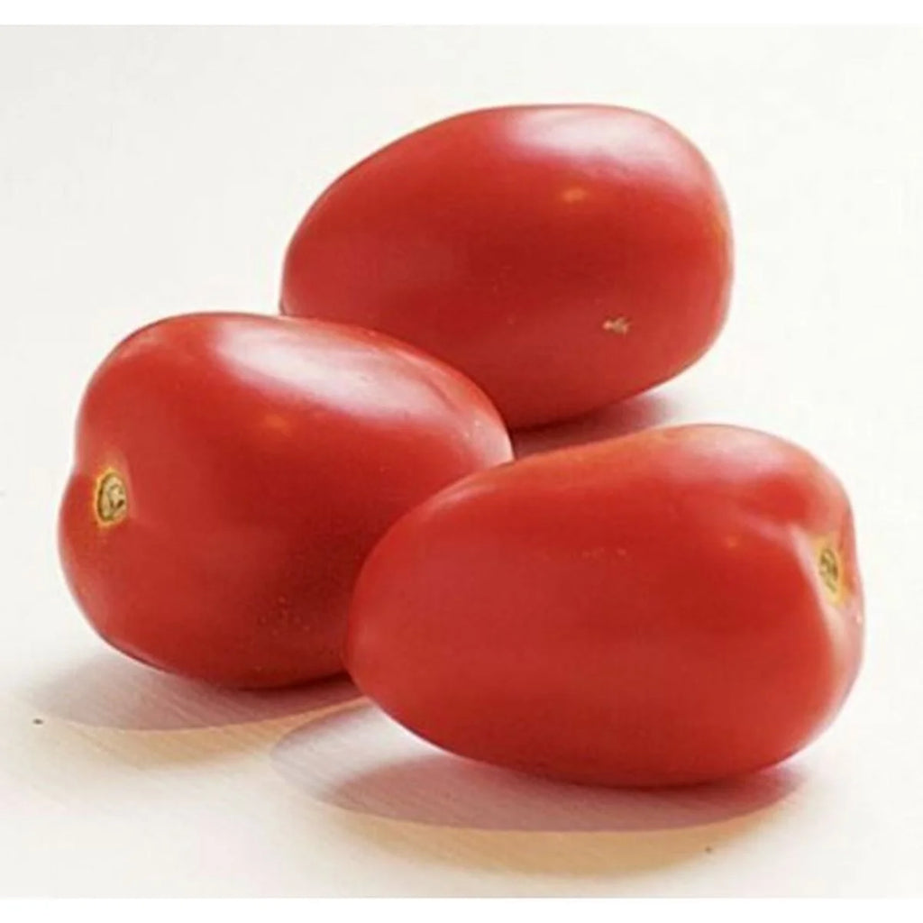 Tomato Roma Jumbo