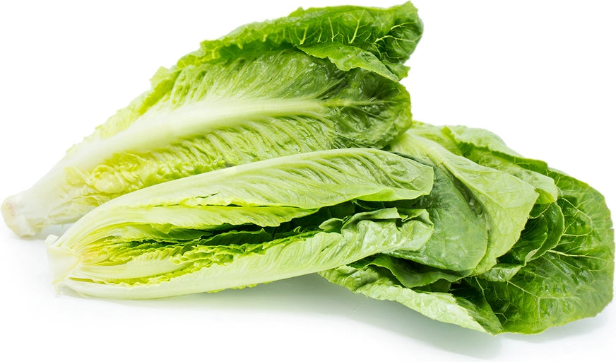 Romaine Heart Lettuce