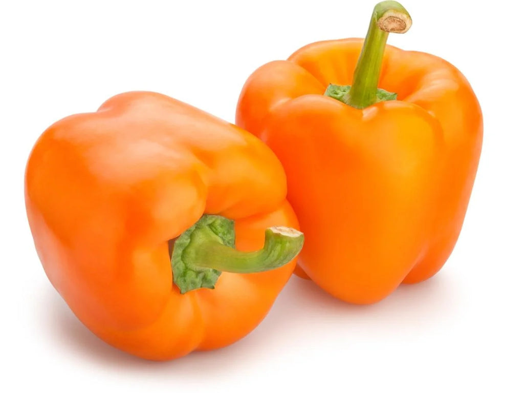 Orange Bell Pepper