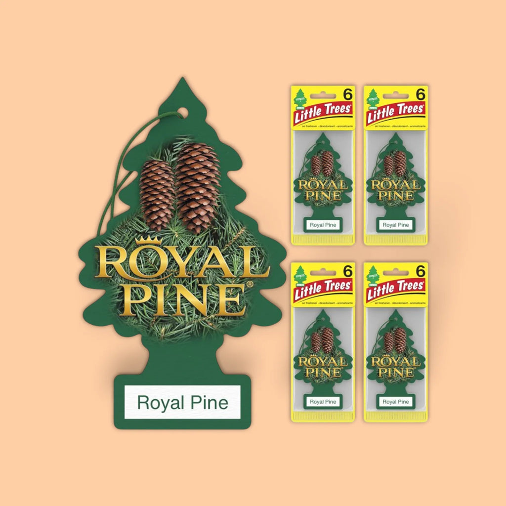 LITTLE TREES AIR FRESHENERS - ROYAL PINE 24 PCS